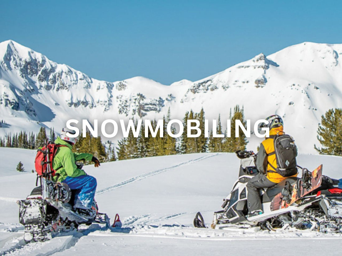 Two snowmobilers resting in a snowy mountain landscape.