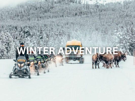 Snowmobile tour group passing by bison in a snowy landscape.