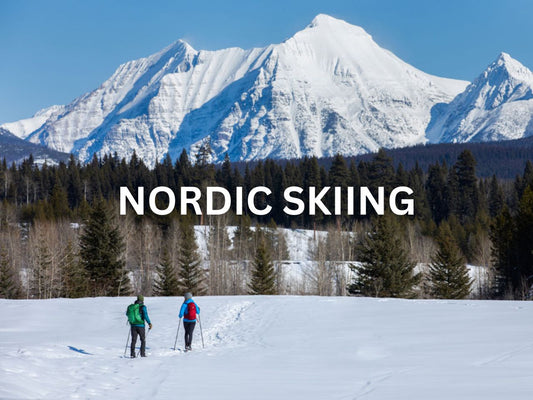 Nordic skiers enjoying a peaceful trail with snow-covered peaks in the distance.