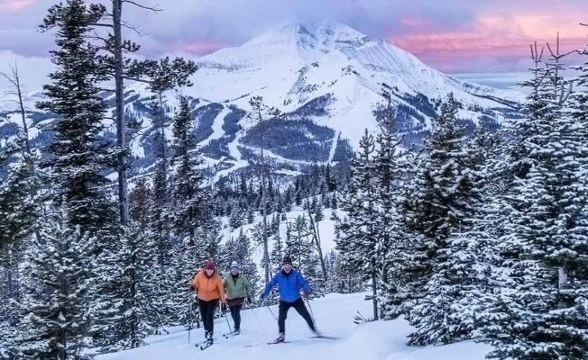 Three skiers trekking uphill through a snowy forest with a mountain in the background.