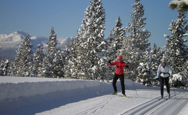 Two cross-country skiers gliding on a snowy trail through a forest with mountains in the background.