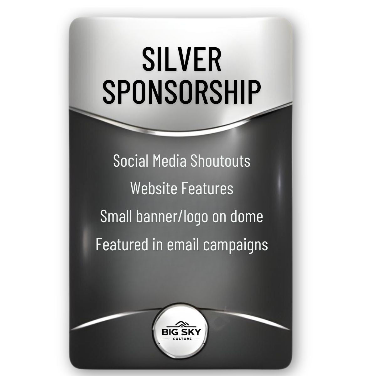 Silver Sponsorship