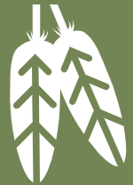 Icon of two feathers with stylized arrow patterns on a green background.