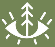 Icon of an eye with a tree inside and rays extending outward on a green background.