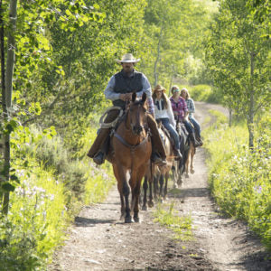 A group of individuals riding horses along a scenic dirt path surrounded by greenery and natural landscapes.