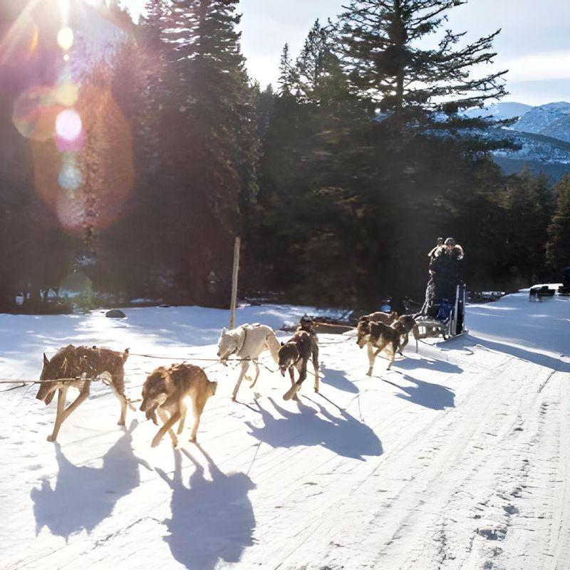 A man pulls a sled, accompanied by a team of dogs, navigating through a snowy landscape.