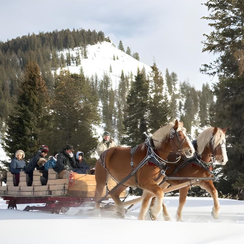  People seated in a sleigh, being drawn by two horses, traversing a snowy scene filled with winter charm.