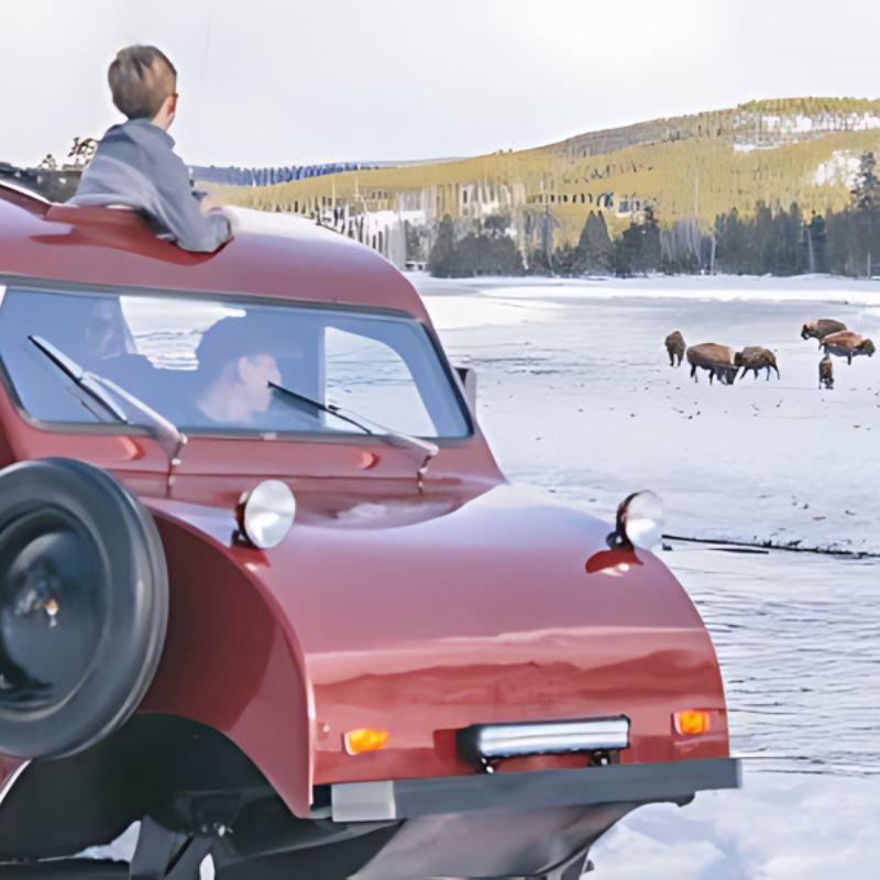 In the back of a truck, a man and a boy gaze at a herd of bison roaming across the open landscape.