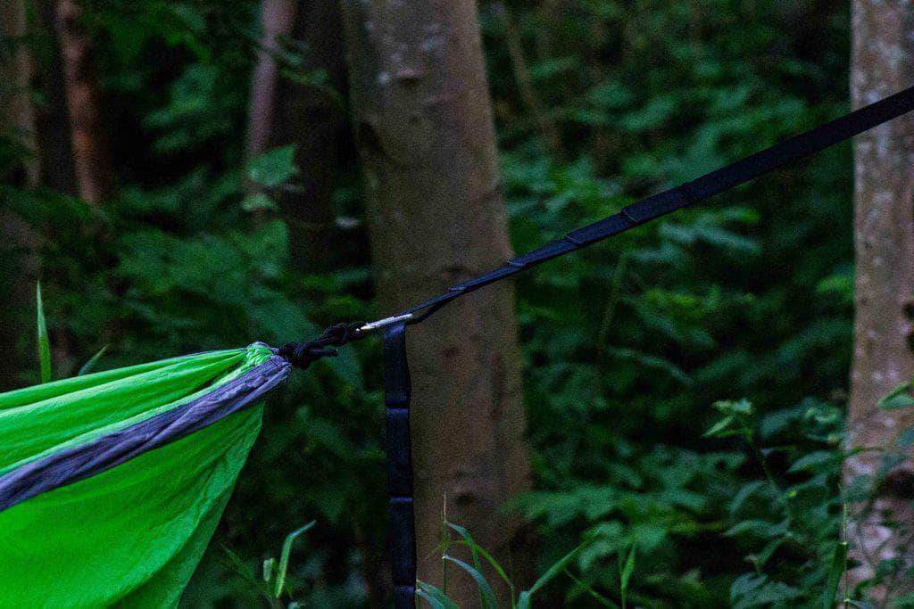 A close-up view of a green hammock securely tied to a tree in a dense forest, with a black strap holding it in place among lush green foliage.