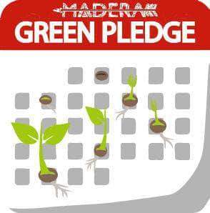 Madera Outdoor  Yes Green Pledge